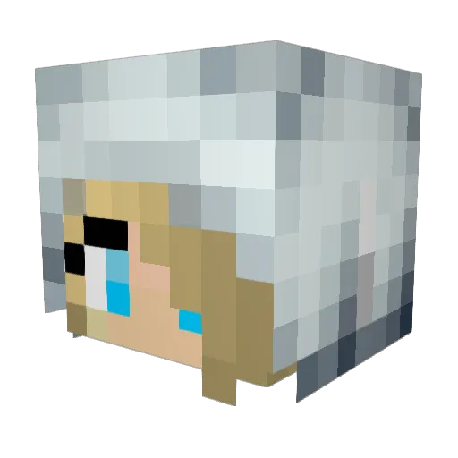 Dantooeen2 Minecraft avatar head, 3D render