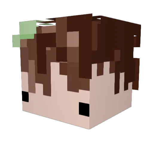 Dantox08 Minecraft avatar head, 3D render