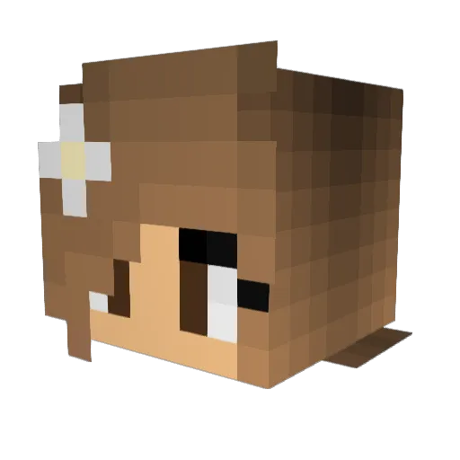Danturn56 Minecraft avatar head, 3D render