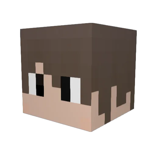 Dantyou1586 Minecraft avatar head, 3D render