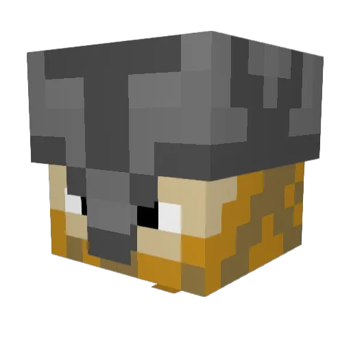 Dantz24 Minecraft avatar head, 3D render