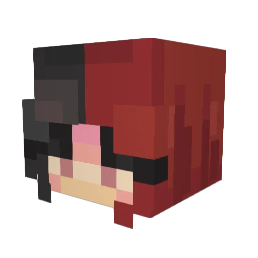 Danuki3 Minecraft avatar head, 3D render