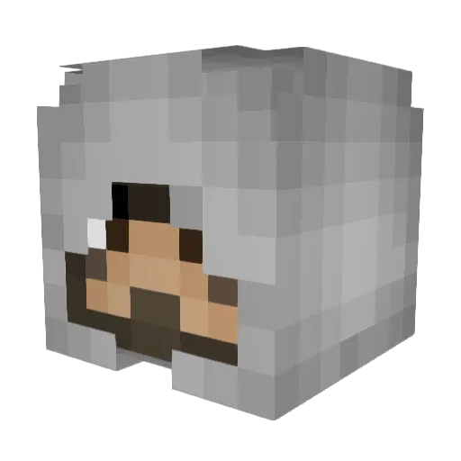 Danurox Minecraft avatar head, 3D render