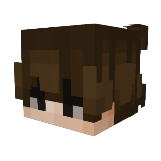 Danutu67 Minecraft avatar head, 3D render