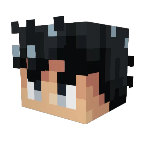 Danveer Minecraft avatar head, 3D render