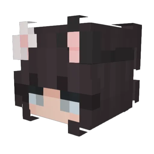 DanvhyKatt Minecraft avatar head, 3D render