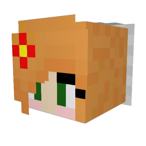 Danwisil Minecraft avatar head, 3D render
