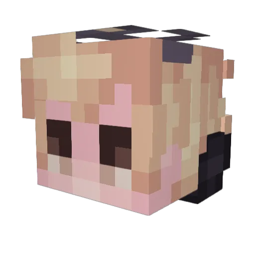 Danxg Minecraft avatar head, 3D render