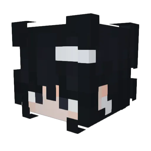 Dany08x Minecraft avatar head, 3D render