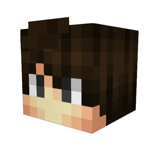 Dany1156 Minecraft avatar head, 3D render