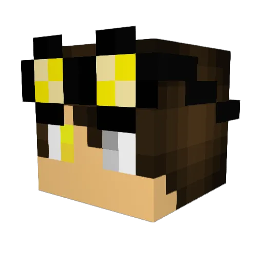 Dany1607 Minecraft avatar head, 3D render