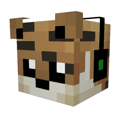 Dany1 Minecraft avatar head, 3D render
