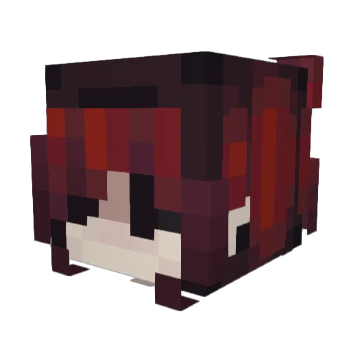 Dany307 Minecraft avatar head, 3D render