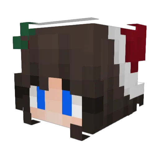 Danydnl Minecraft avatar head, 3D render