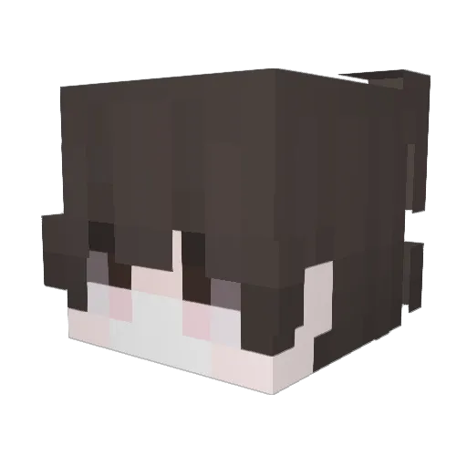 Danysius002 Minecraft avatar head, 3D render