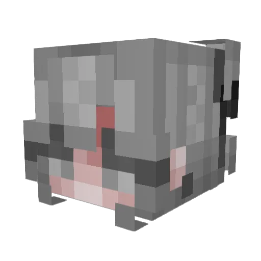 Danythehunter Minecraft avatar head, 3D render