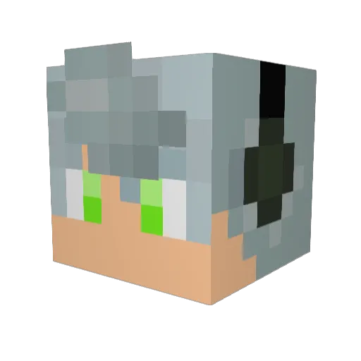 Danyu18 Minecraft avatar head, 3D render