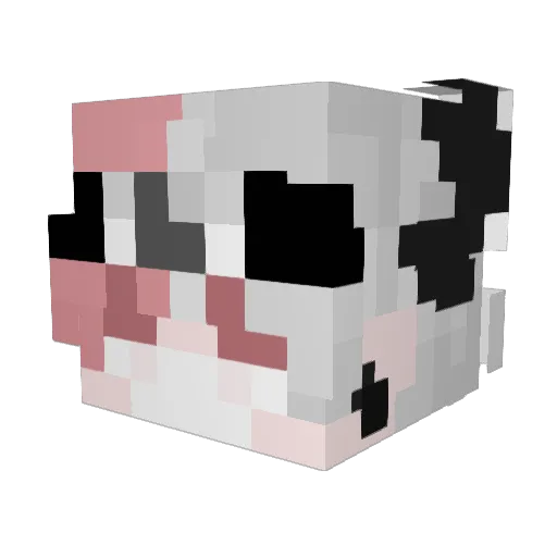 DanyyReal Minecraft avatar head, 3D render