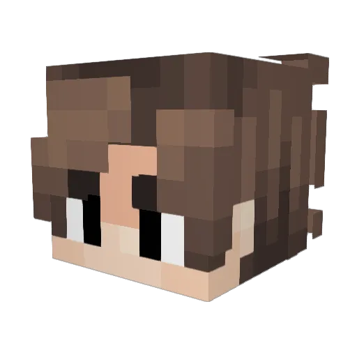Danzvoid Minecraft avatar head, 3D render