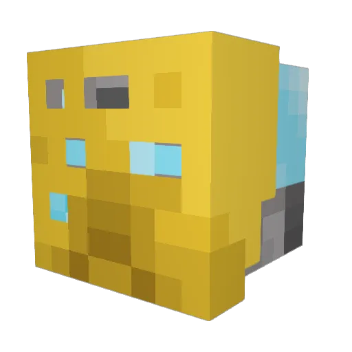 Danzy211 Minecraft avatar head, 3D render