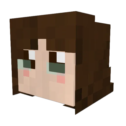 Dapikaru Minecraft avatar head, 3D render
