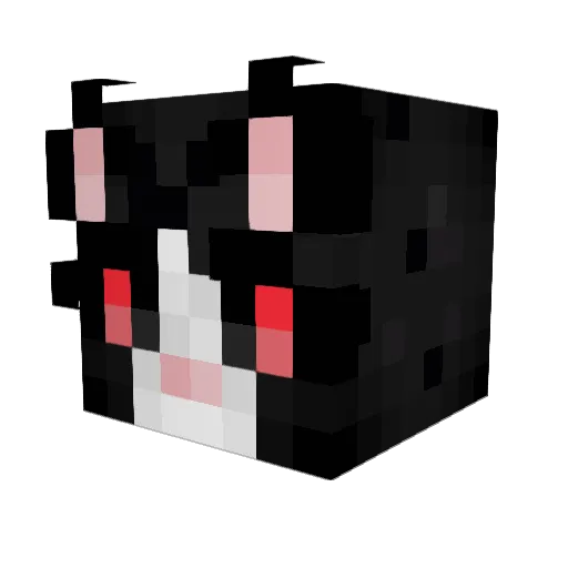 Dapperrcat Minecraft avatar head, 3D render