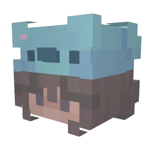 Dappie2008 Minecraft avatar head, 3D render