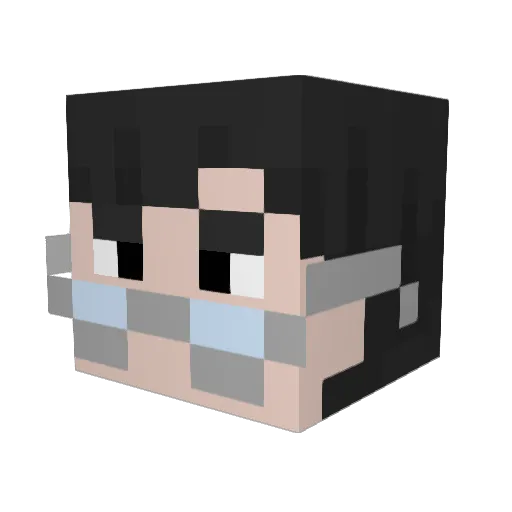 DappsDragon Minecraft avatar head, 3D render