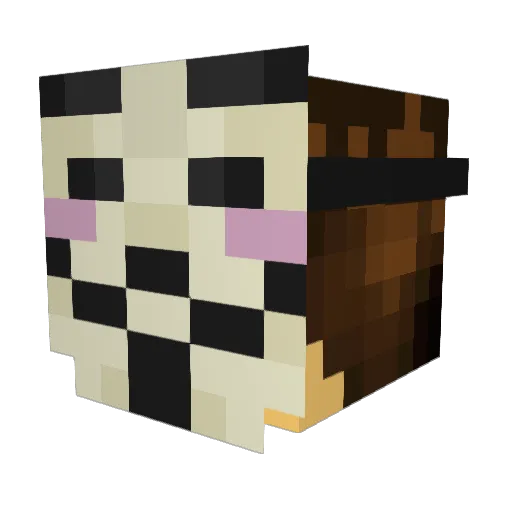 DarKMoOZe Minecraft avatar head, 3D render