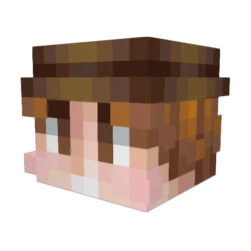 DarKchain9492 Minecraft avatar head, 3D render