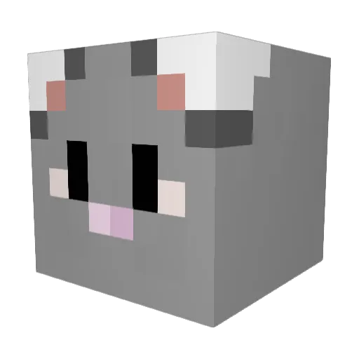 Daramg_26 Minecraft avatar head, 3D render