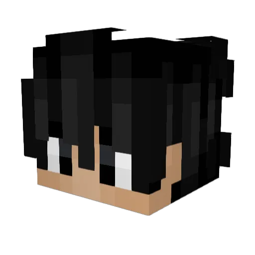 DarcEbb30 Minecraft avatar head, 3D render