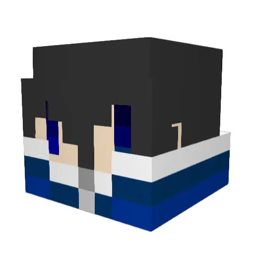 Darce46 Minecraft avatar head, 3D render