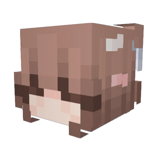 Darck32 Minecraft avatar head, 3D render
