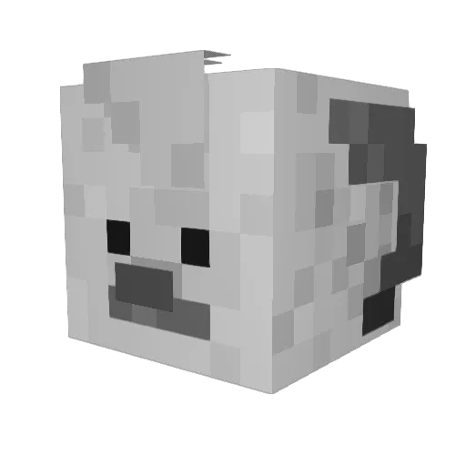 DarcoFTW Minecraft avatar head, 3D render