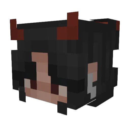 Darcy206 Minecraft avatar head, 3D render