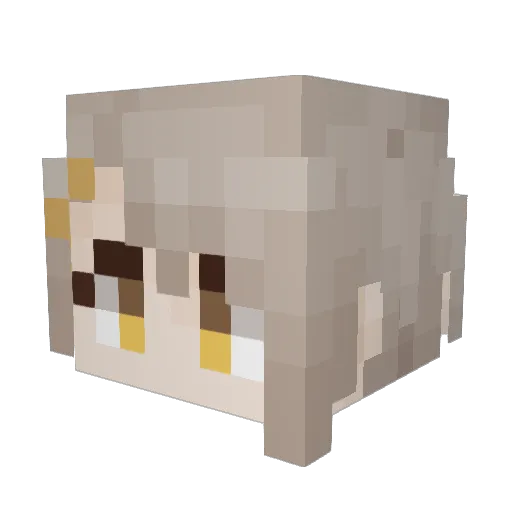Darealmelojr Minecraft avatar head, 3D render