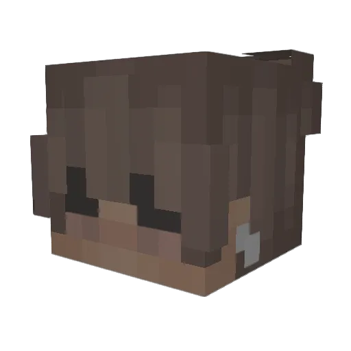 DaredevilDan Minecraft avatar head, 3D render