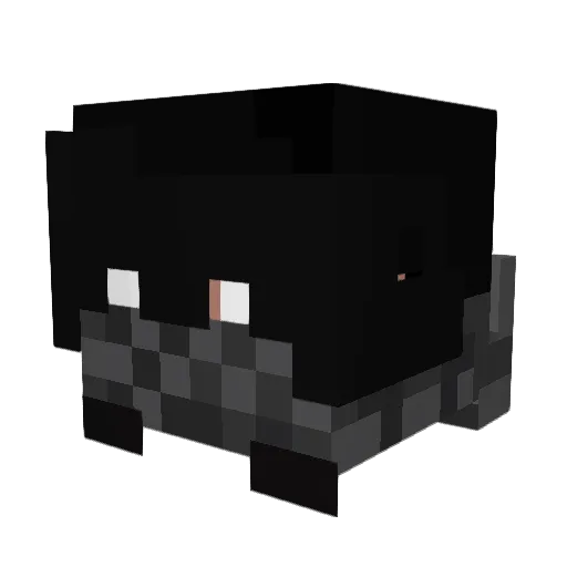 Darencito06 Minecraft avatar head, 3D render