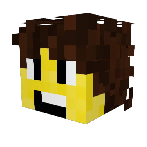 Dareth_the_Ninja Minecraft avatar head, 3D render