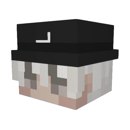 Dargfly Minecraft avatar head, 3D render
