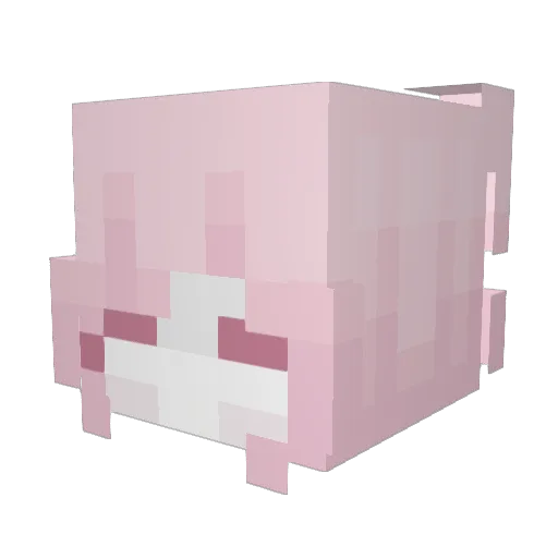 Daria_17 Minecraft avatar head, 3D render