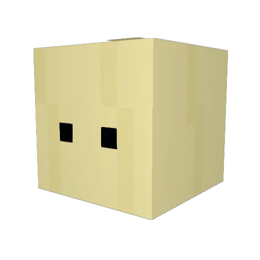 DarianH21 Minecraft avatar head, 3D render