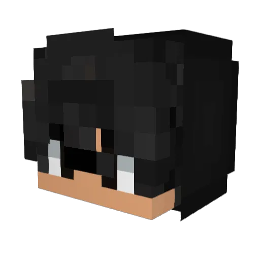 Dariel04 Minecraft avatar head, 3D render