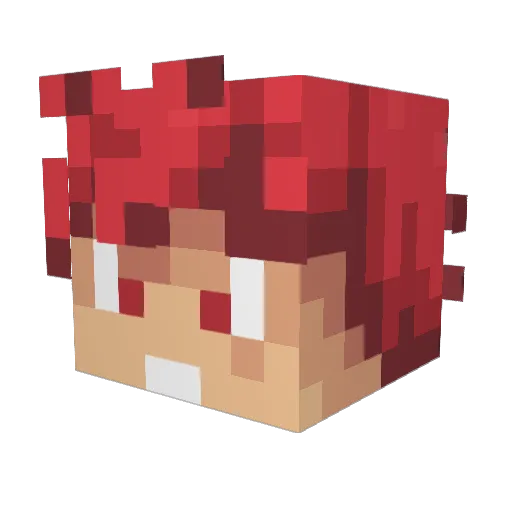 Darik_22 Minecraft avatar head, 3D render