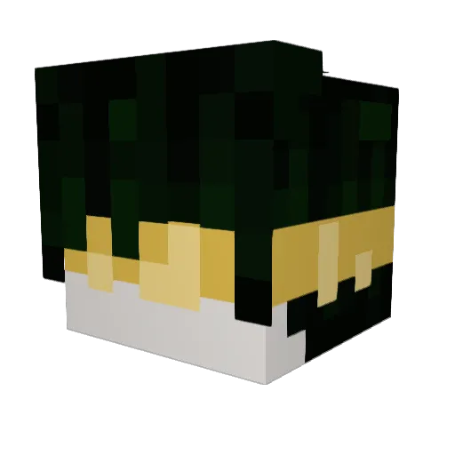 Dario1341 Minecraft avatar head, 3D render
