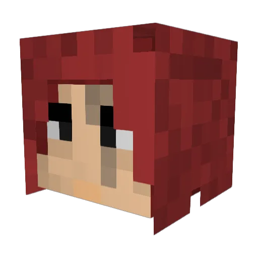 Darius17 Minecraft avatar head, 3D render