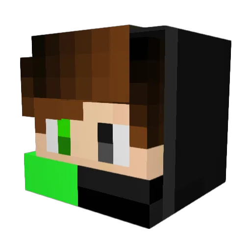 Darius22222 Minecraft avatar head, 3D render