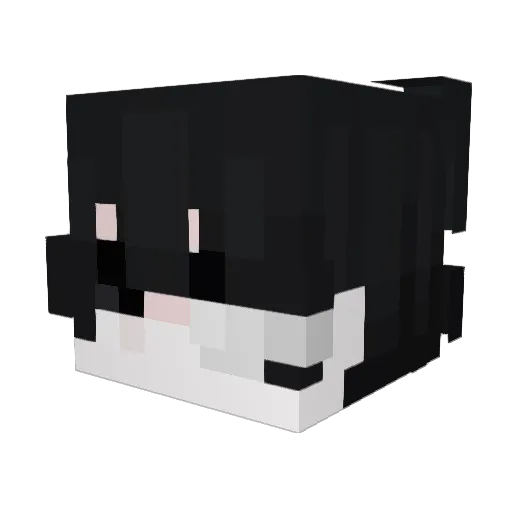 Darius8689 Minecraft avatar head, 3D render
