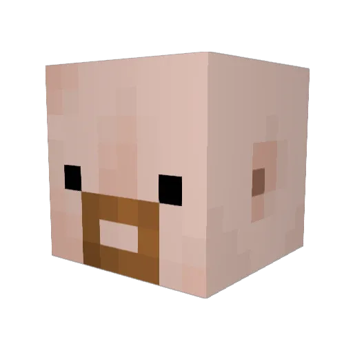 DariusGrave Minecraft avatar head, 3D render